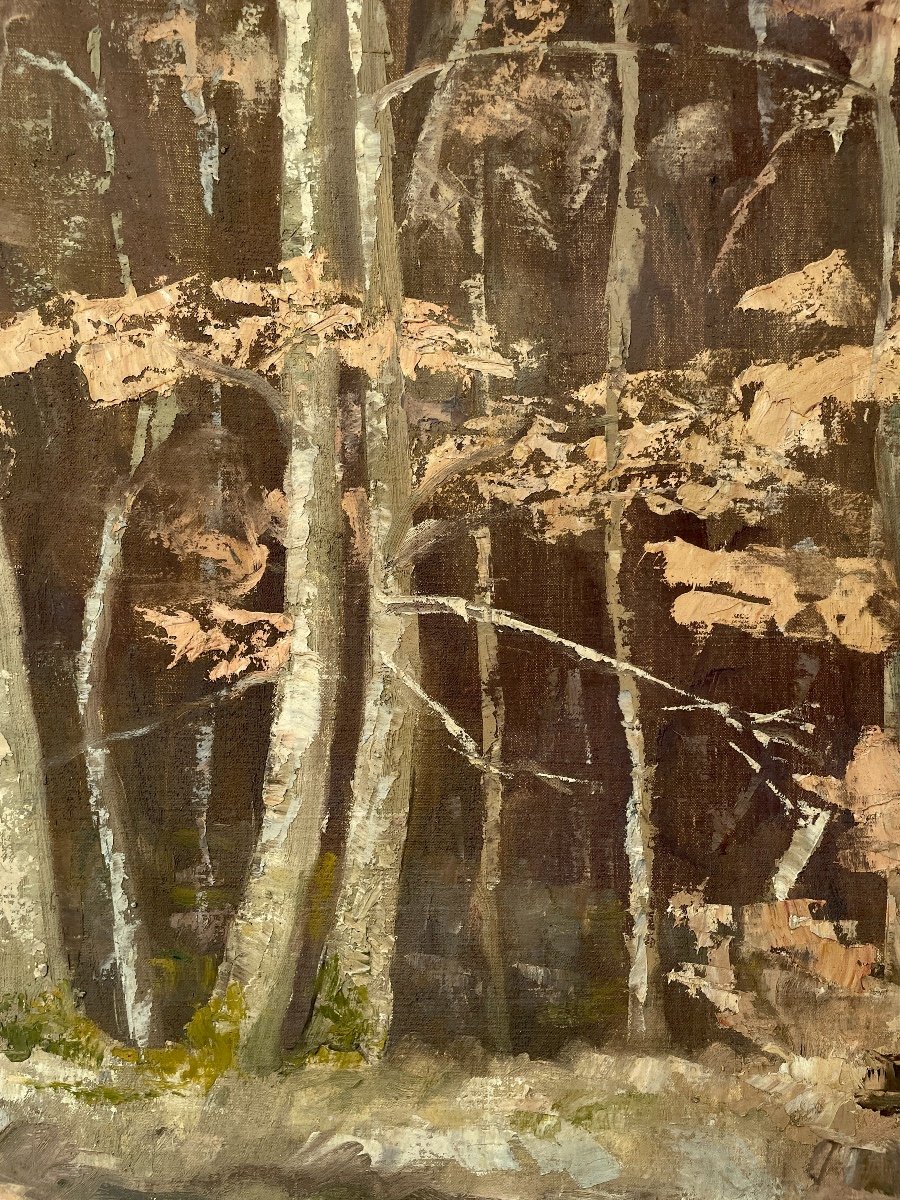 Henry Déziré - Autumn Forest.-photo-2
