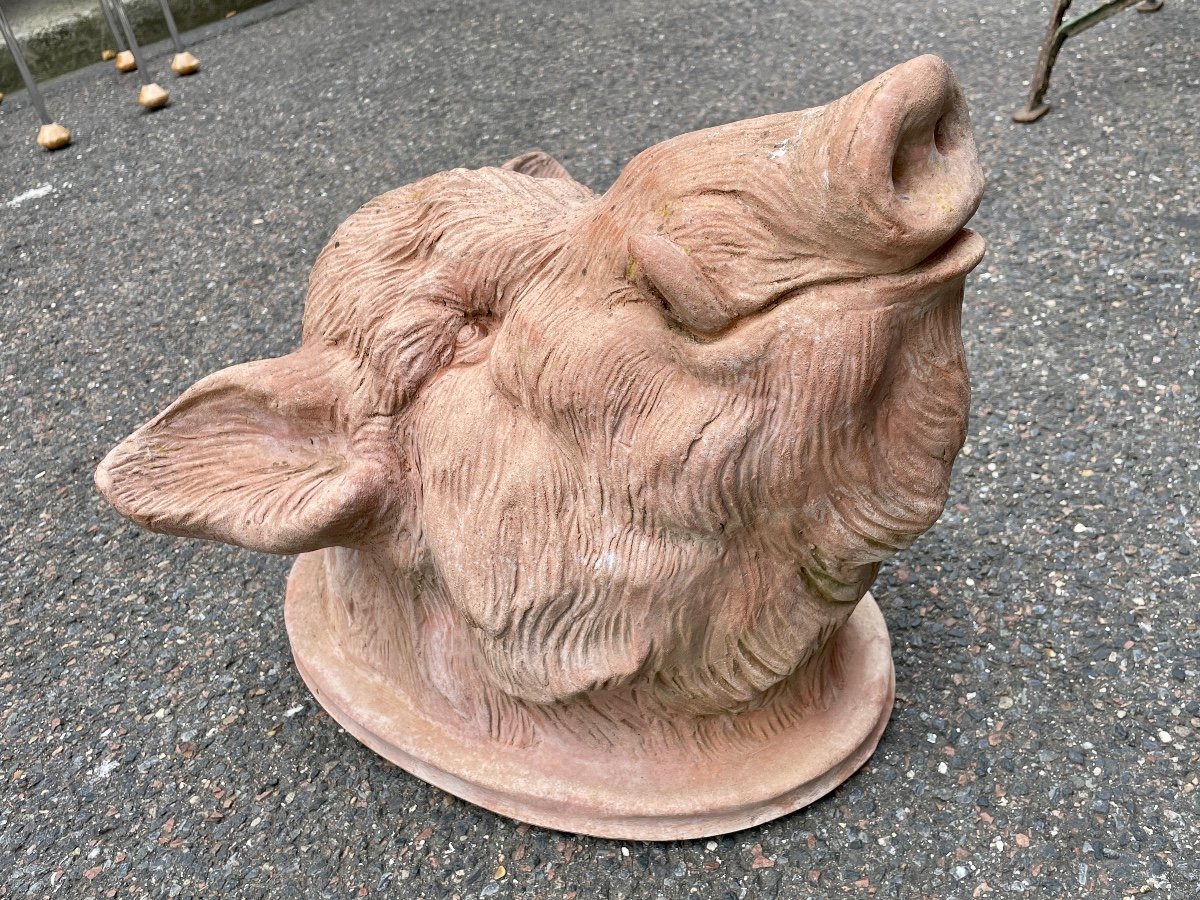 Galestro Colorobbia - Clay Boar's Head - High. : 38.5 Cm. -photo-8
