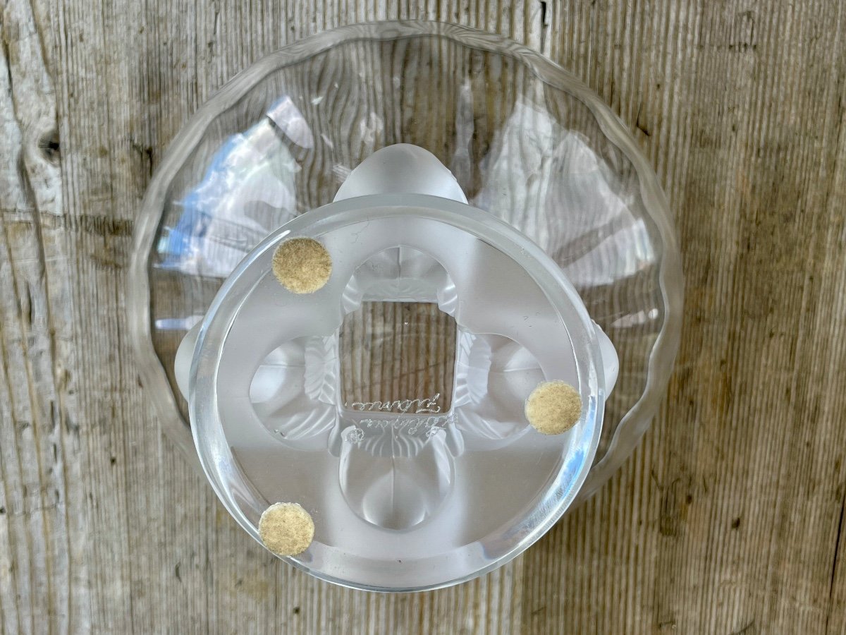 Lalique France, Coupe Nogent En Cristal, Très Bon état - Diam : 13,9 Cm.-photo-5