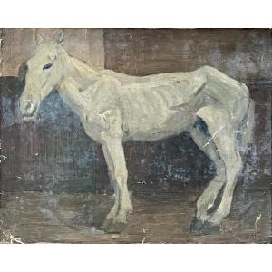 Henry Déziré - Emaciated Horse.