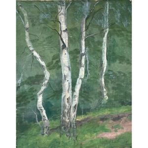 Henry Déziré - The Birches.