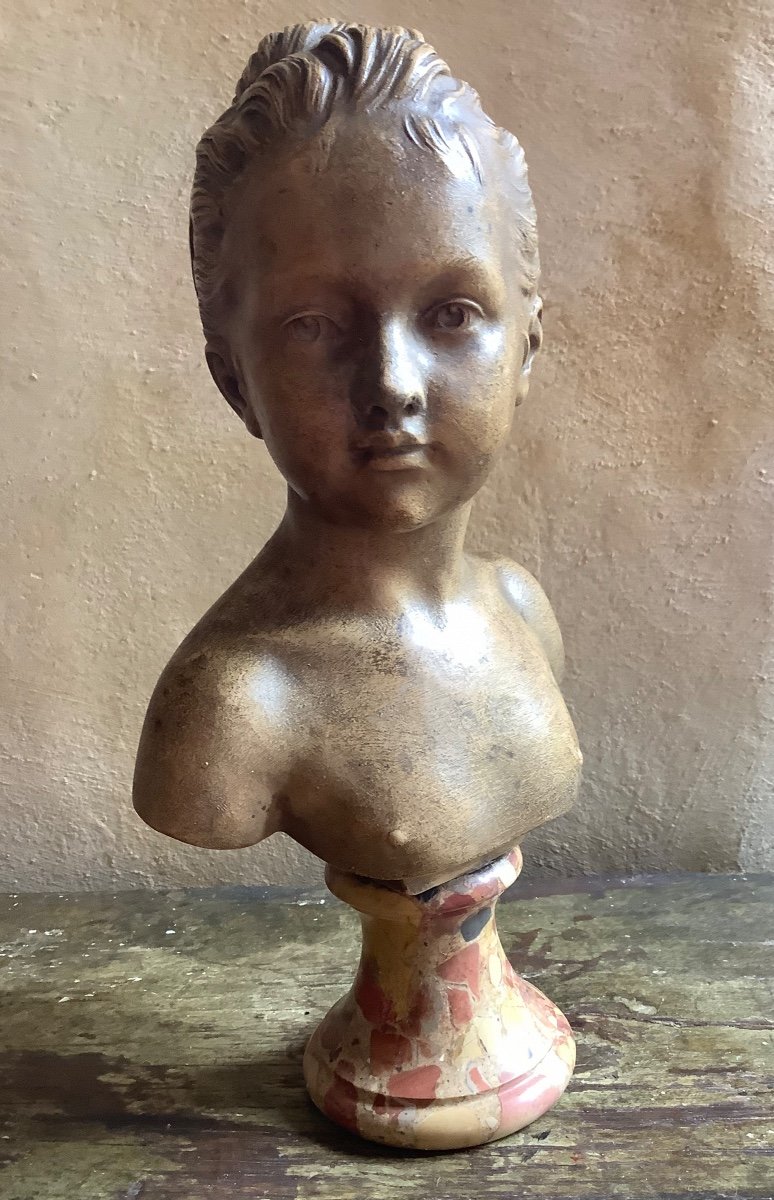 Small Terracotta Bust Of Ja Houdon