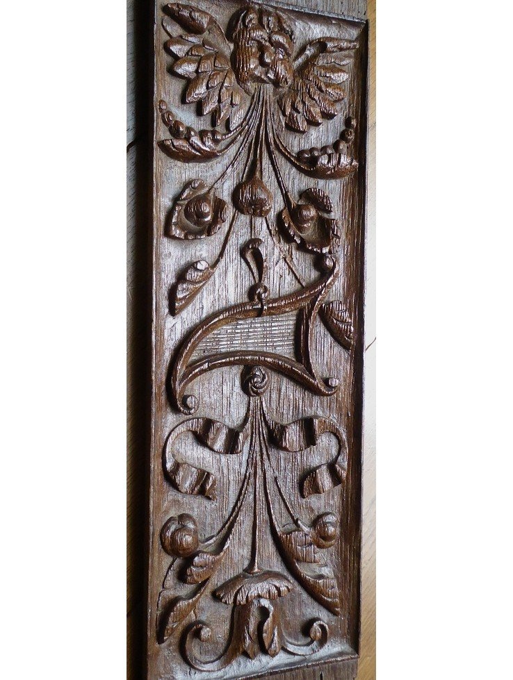 Renaissance Panel In Carved Oak - 16th Century-photo-5