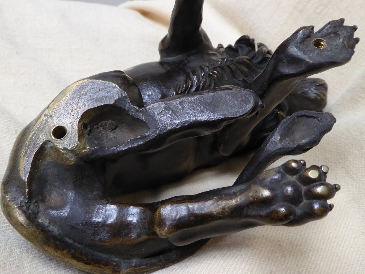 Lion En Bronze d'époque XVIIIe Siècle d'Après Un Modèle De Bouchardon-photo-8