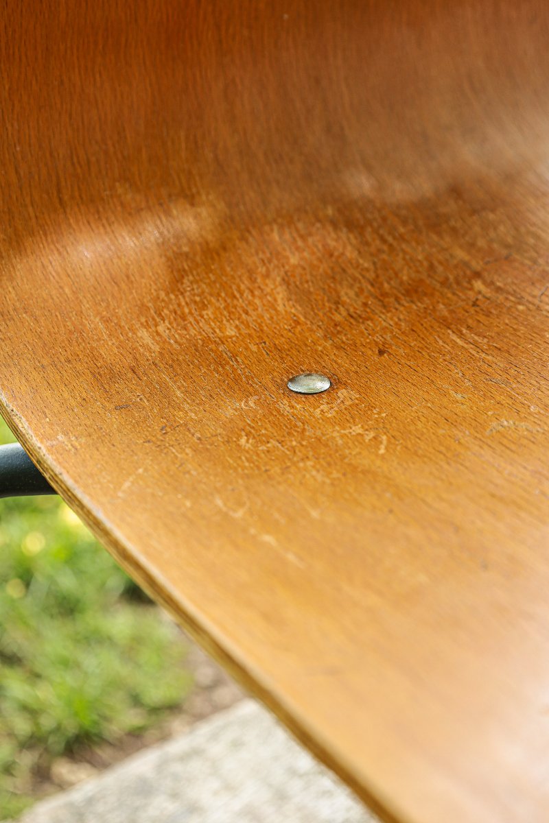 Set Of 12 Pierre Guariche Papyrus Chairs, 1950s/60s Vintage Design, Steiner Paris-photo-2