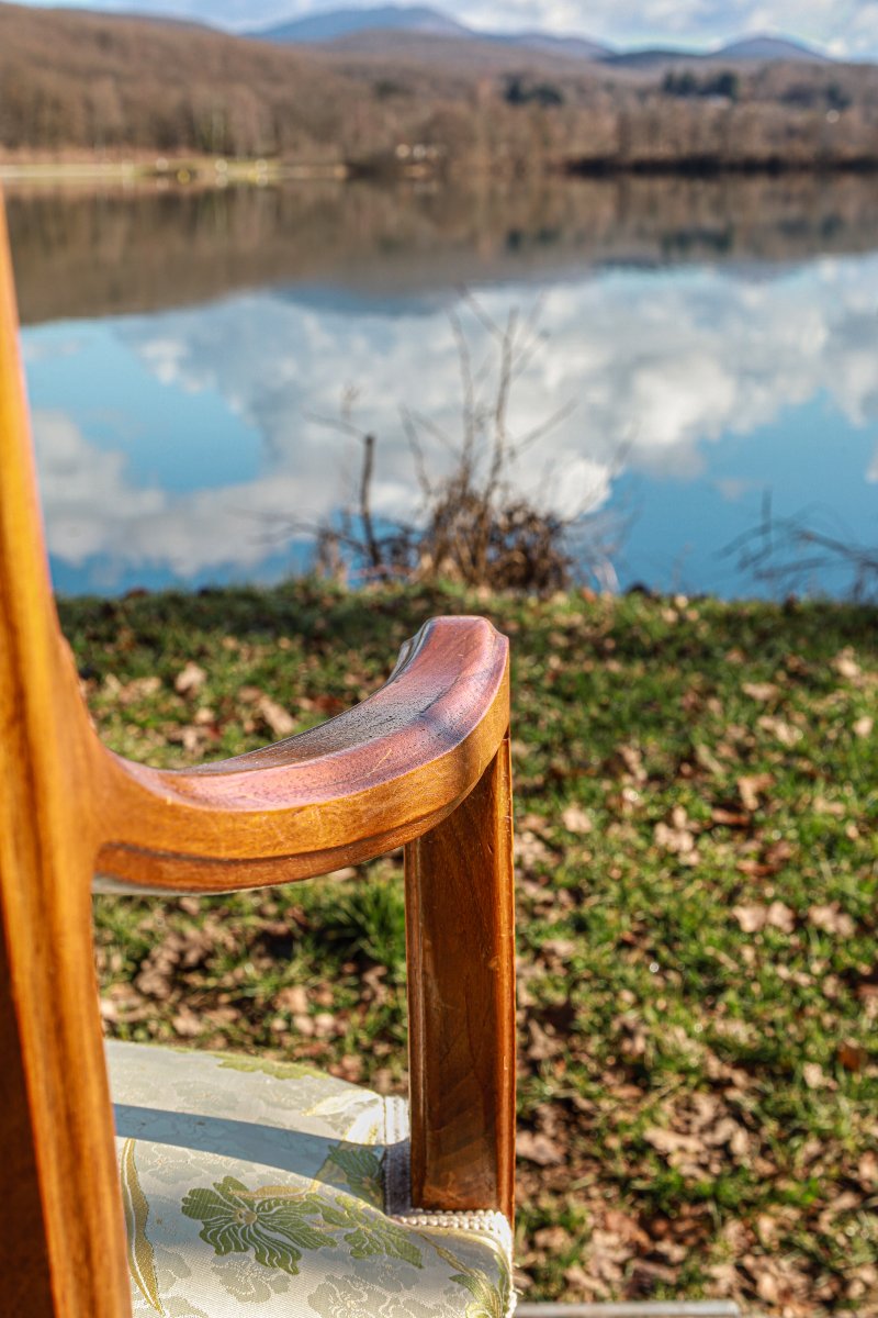 Art Nouveau Walnut Bench, Nancy School, Camille Gauthier -photo-6
