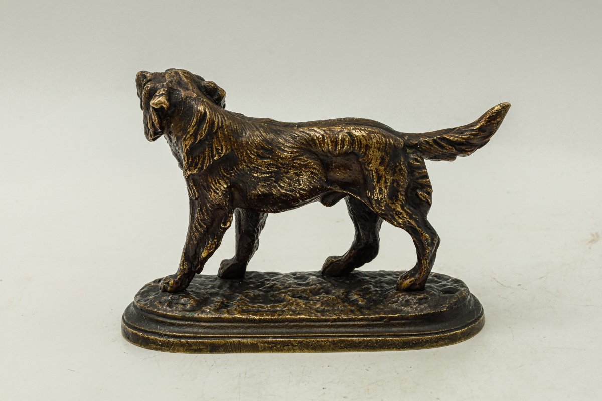Bronze Sculpture Of A Breton Spaniel Hunting Dog-photo-3