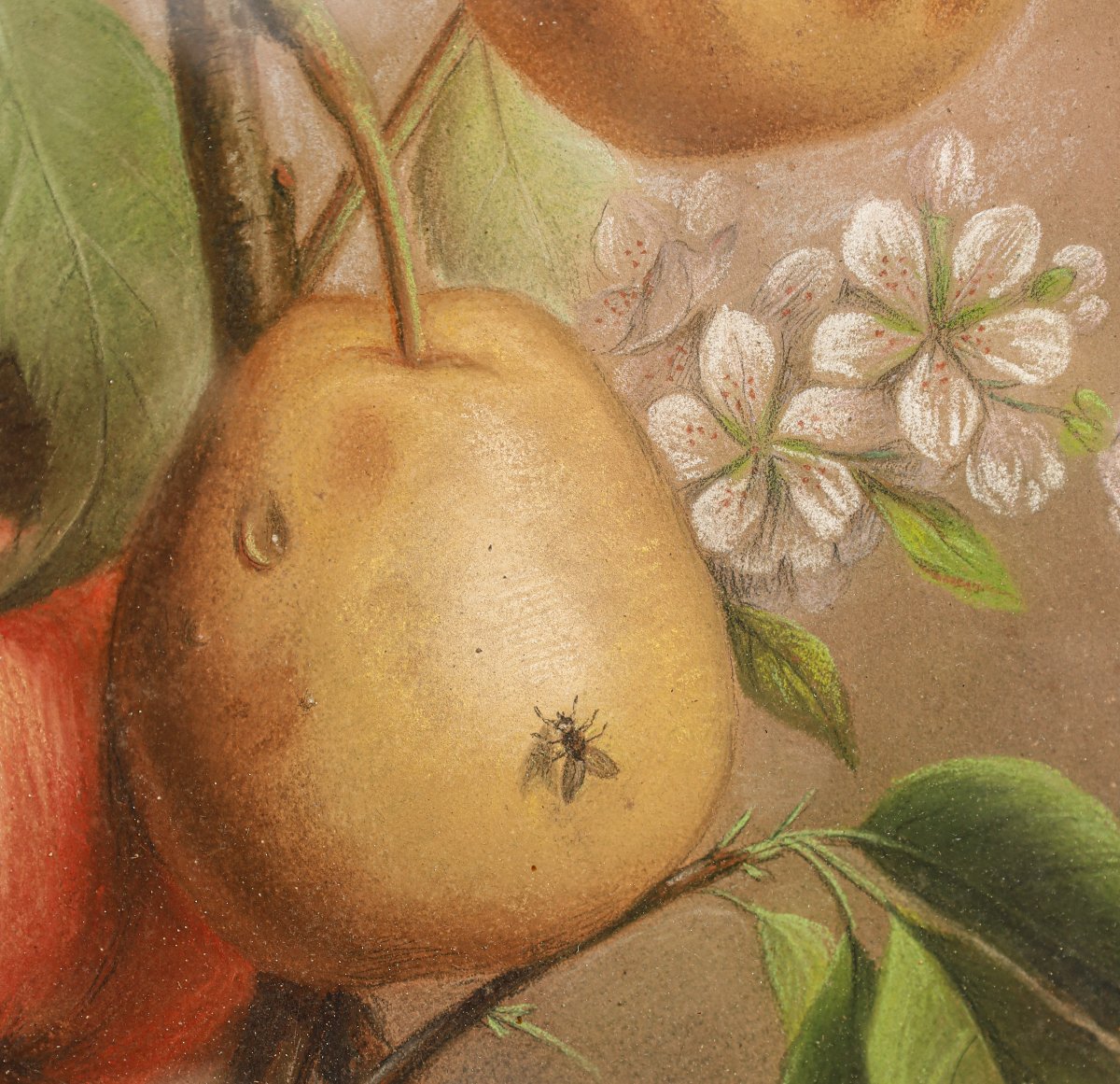Paire de tableaux pastel nature morte 19ème siècle signés J ROBERTI cerises et poires-photo-1