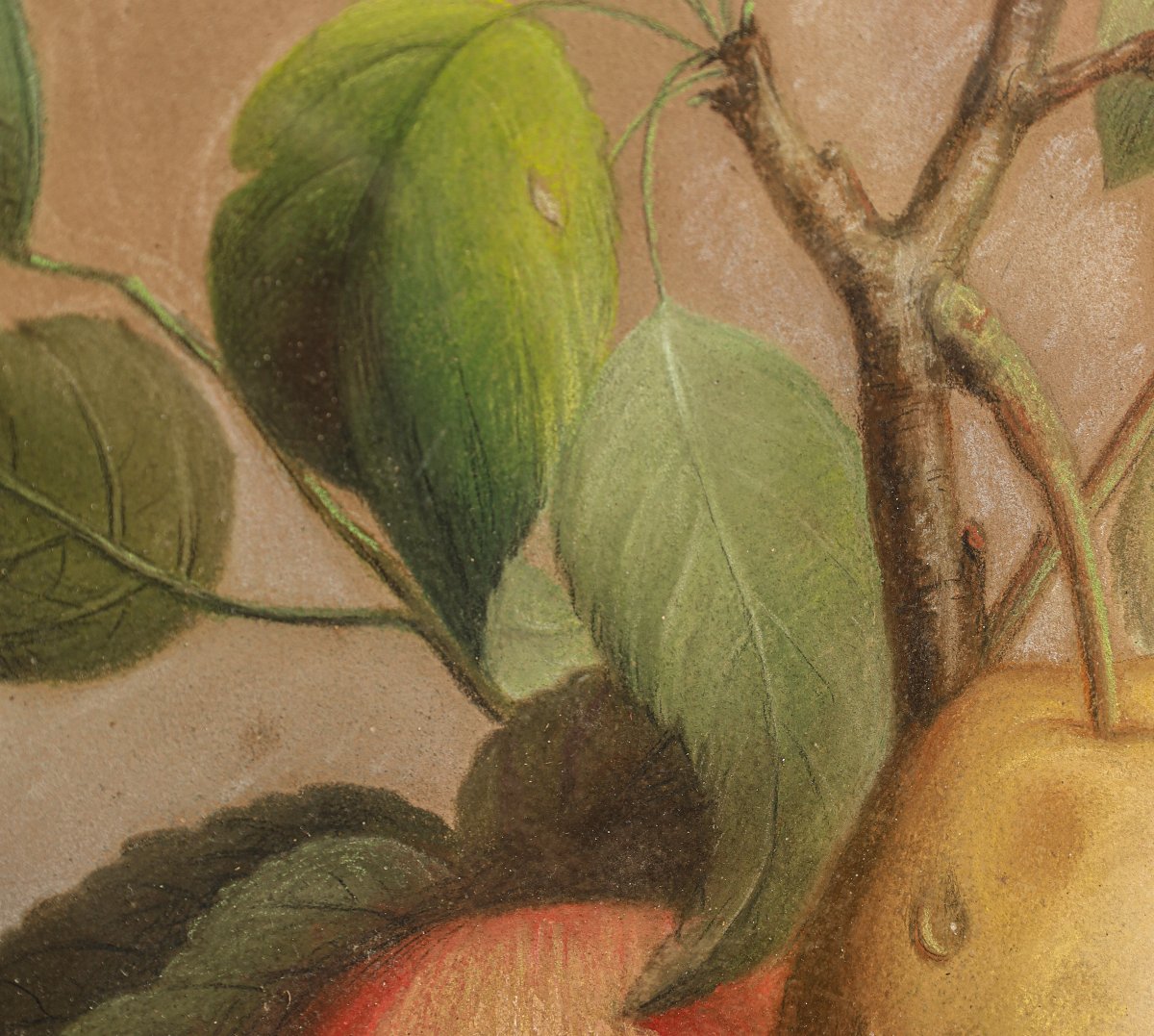 Paire de tableaux pastel nature morte 19ème siècle signés J ROBERTI cerises et poires-photo-2