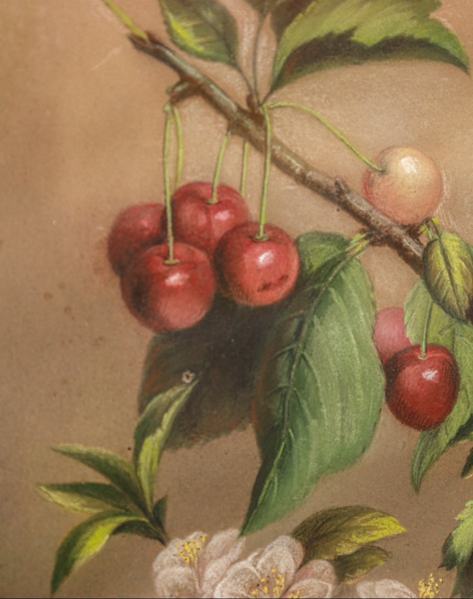 Paire de tableaux pastel nature morte 19ème siècle signés J ROBERTI cerises et poires-photo-4