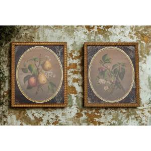 Pair Of 19th Century Still Life Pastel Paintings Signed J Roberti Cherries And Pears
