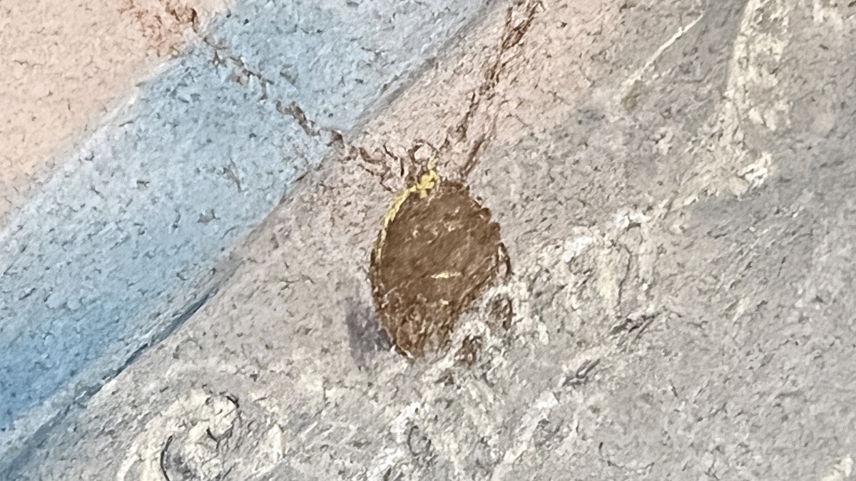 Delphin  Enjolras (1857-1945) - enfant au ruban-photo-3