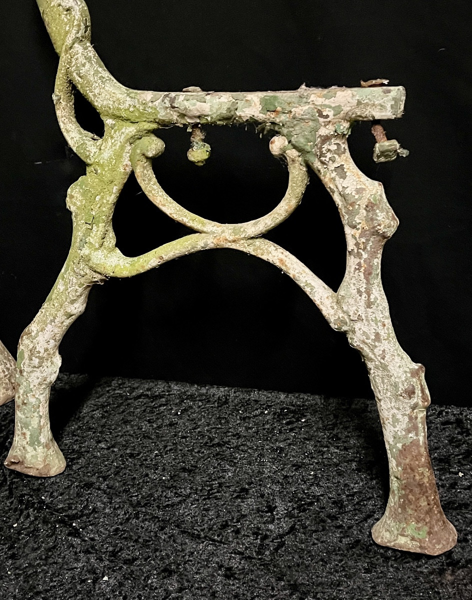 Piètements naturalistes en fonte banc de jardin 19e -photo-1