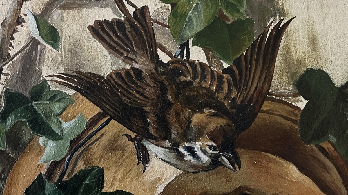 La nichée de moineau - signée J.HESS 1891-photo-3