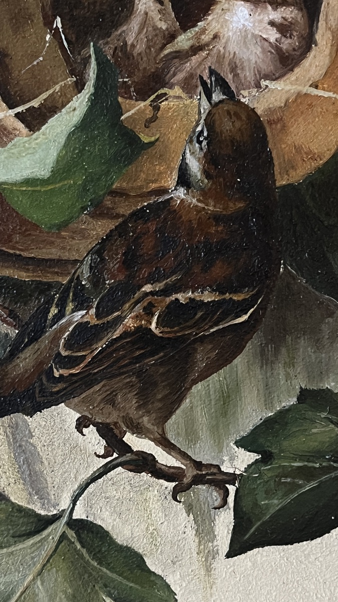 La nichée de moineau - signée J.HESS 1891-photo-4