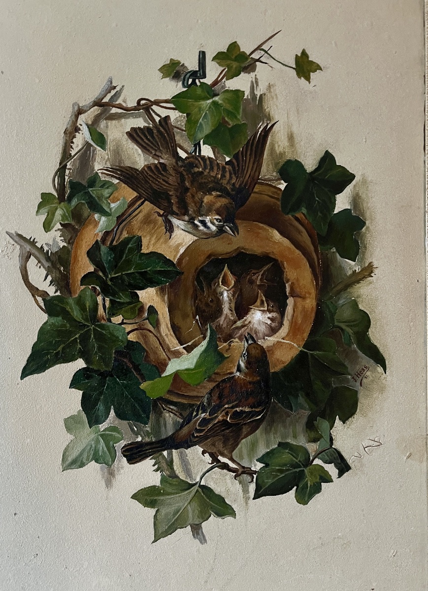 La nichée de moineau - signée J.HESS 1891-photo-2