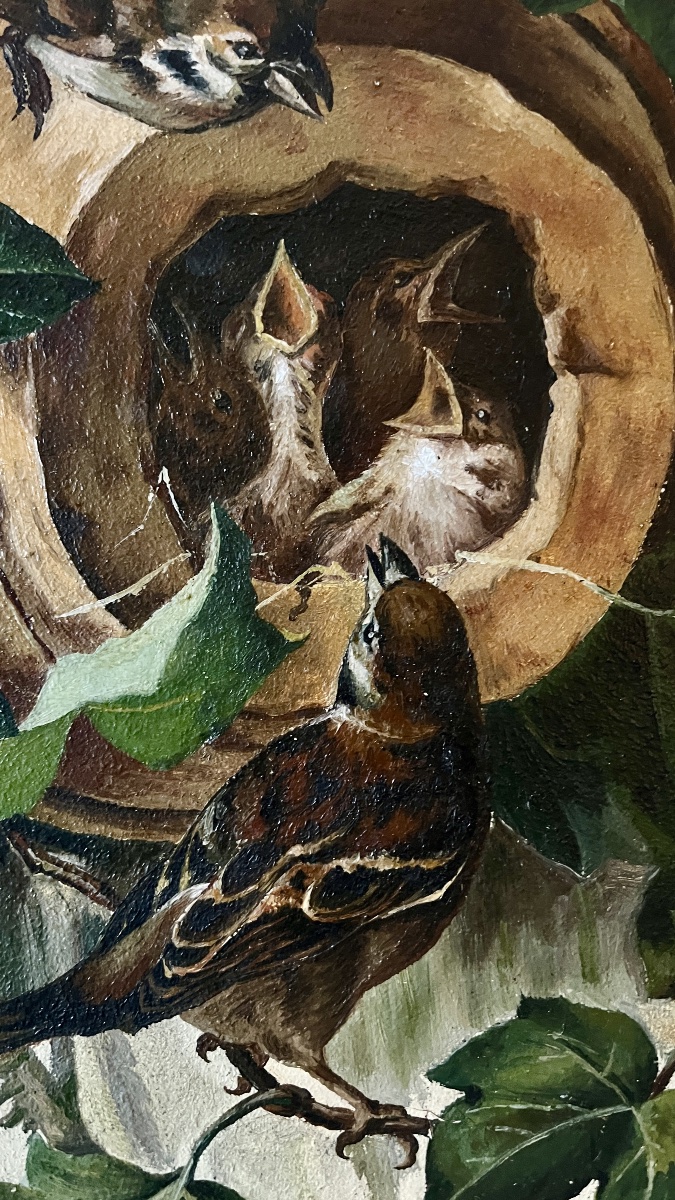 La nichée de moineau - signée J.HESS 1891-photo-3