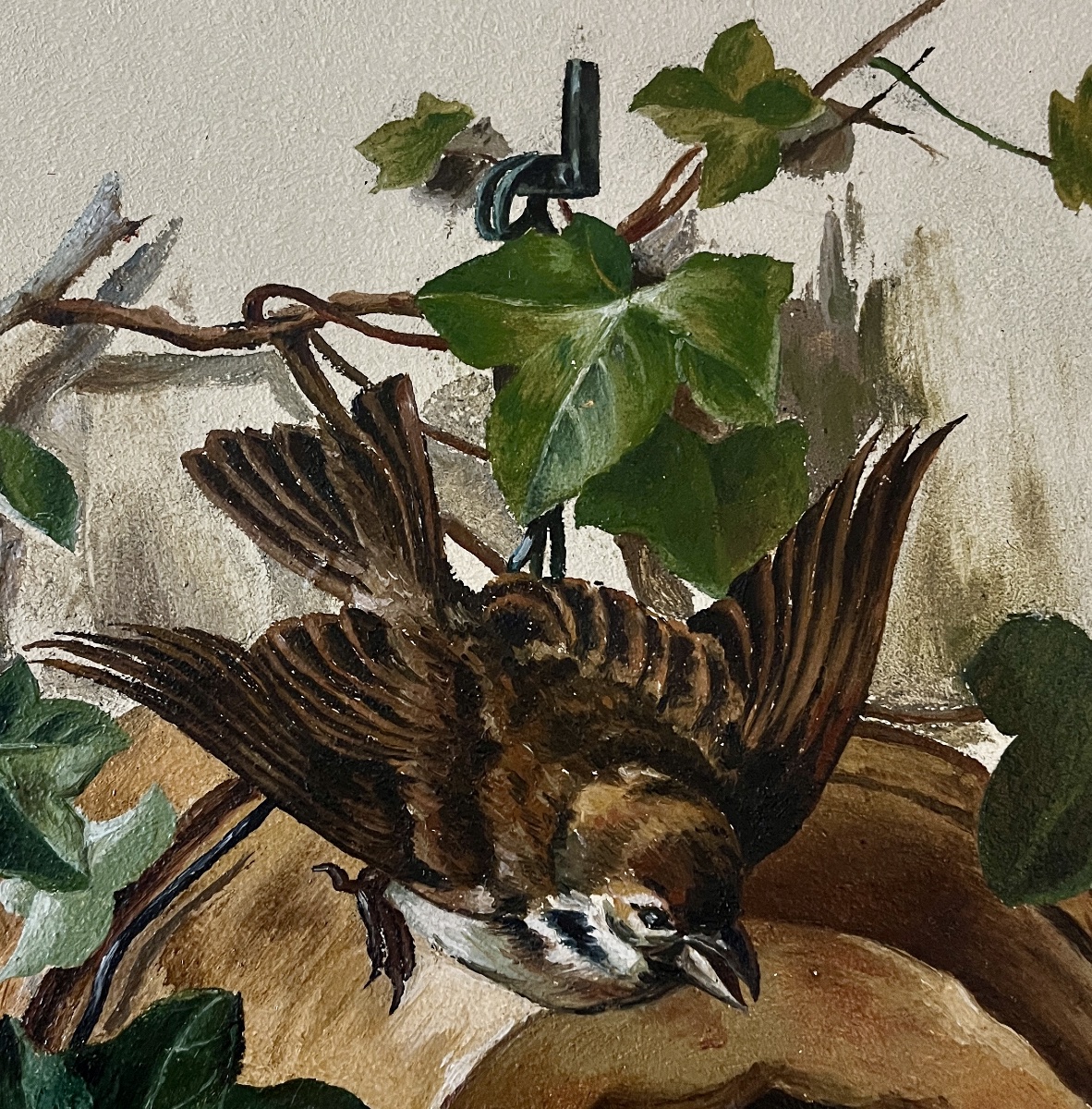 La nichée de moineau - signée J.HESS 1891-photo-4