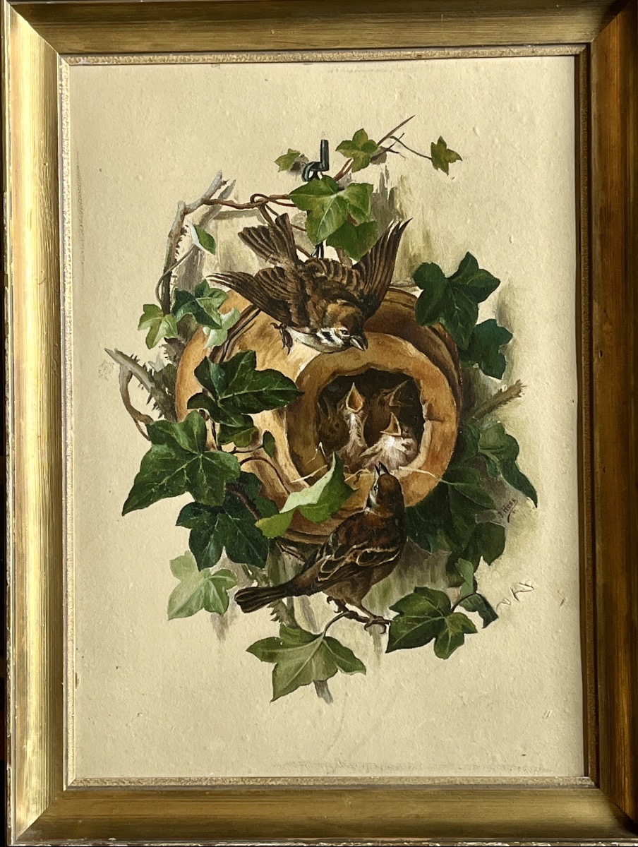 La nichée de moineau - signée J.HESS 1891
