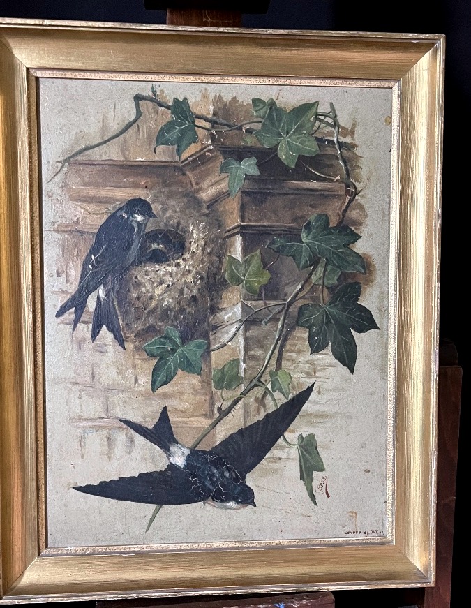 Swallow Brood - Signed J.hess-photo-2