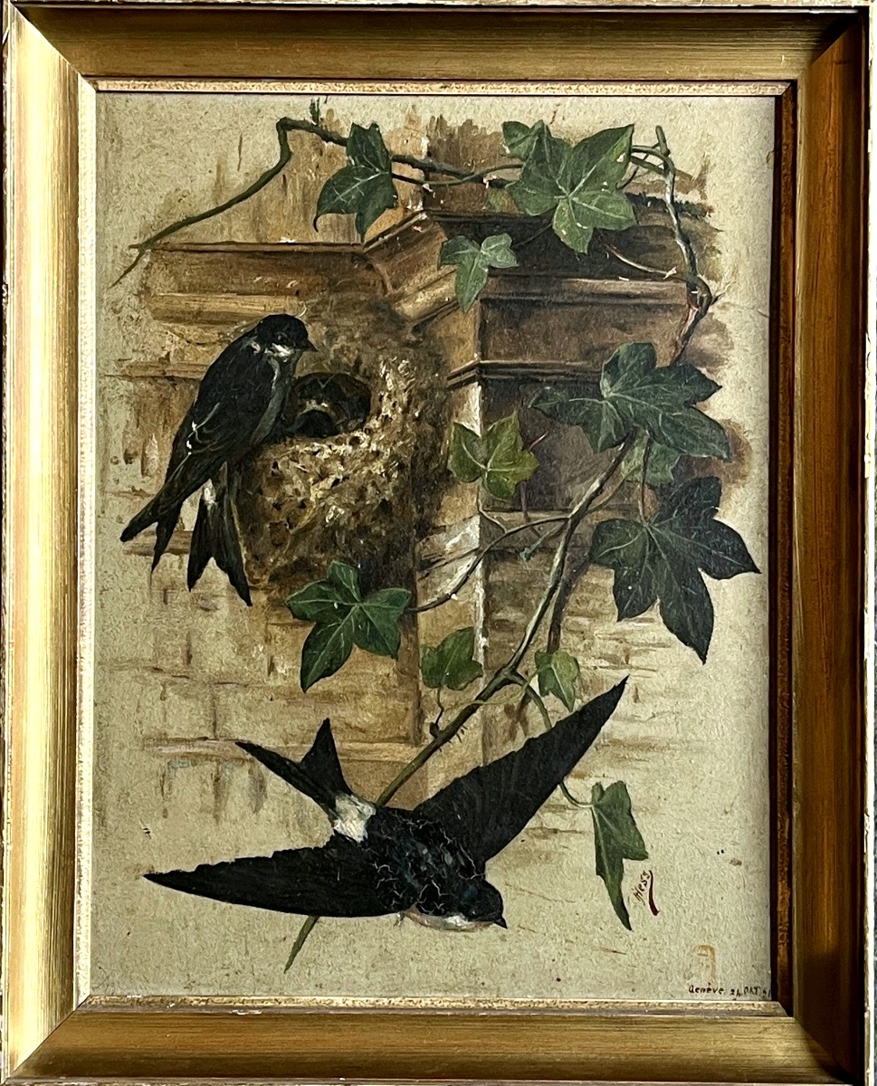 Swallow Brood - Signed J.hess