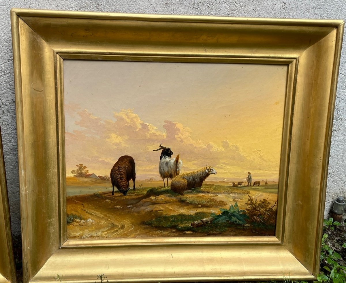 Paire De Tableaux  19ème - Vache Et Son Veau / Bélier Et Brebis - Herment Victor 1801-1858-photo-3