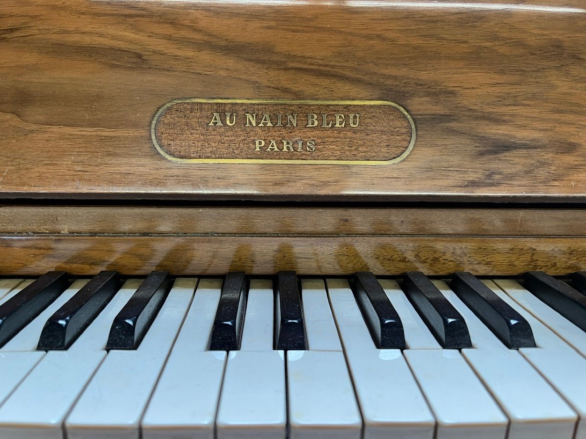 Children's Piano - Au Nain Bleu - Paris-photo-3