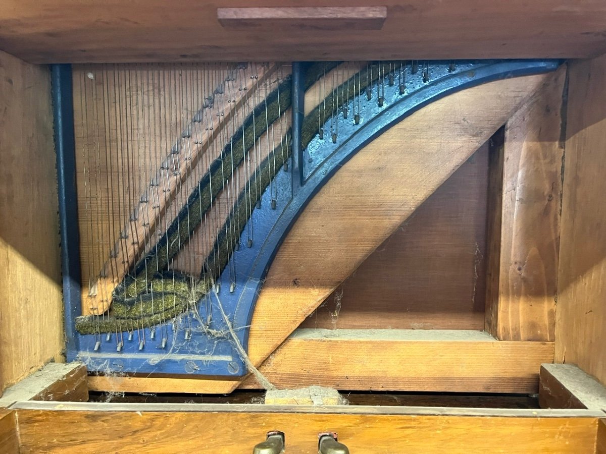 Children's Piano - Au Nain Bleu - Paris-photo-6