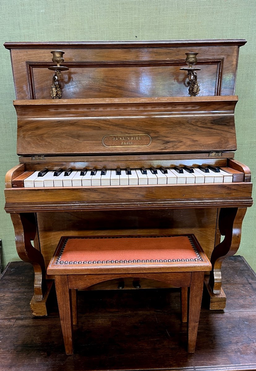 Children's Piano - Au Nain Bleu - Paris