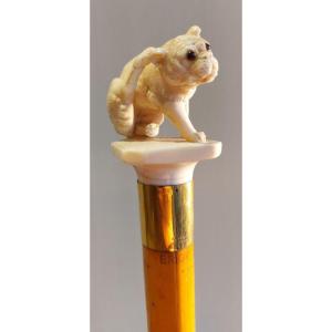 Canne Ancienne, Bulldog, Fin Du XIXe Siècle