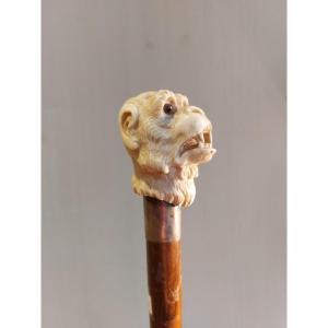 Canne Ancienne, Gorilla, Fin Du XIXe Siécle