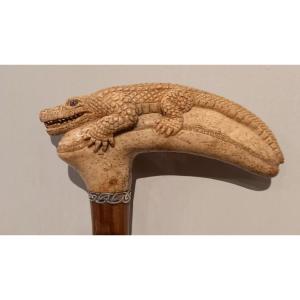 Canne Ancienne, Crocodile Ca 1920