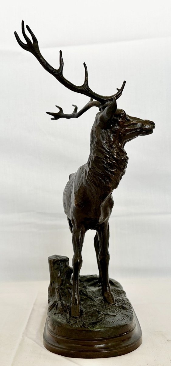 Beautiful Bronze "deer With 12 Horns" Signed By Alfred Dubucand Nineteenth Century Patina Dark Medal-photo-3
