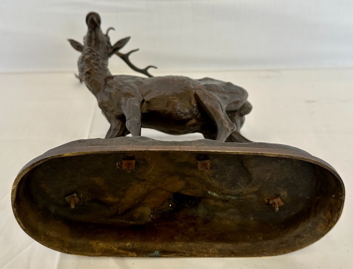 Beautiful Bronze "deer With 12 Horns" Signed By Alfred Dubucand Nineteenth Century Patina Dark Medal-photo-7