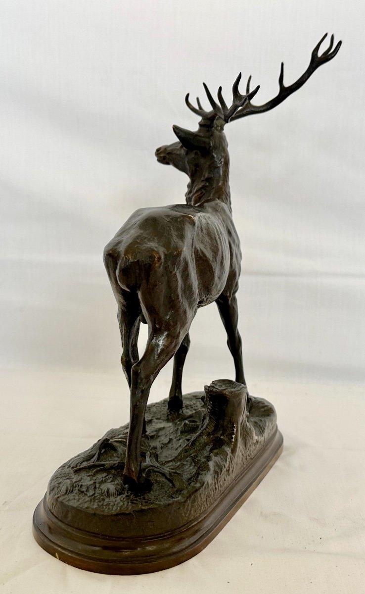 Beautiful Bronze "deer With 12 Horns" Signed By Alfred Dubucand Nineteenth Century Patina Dark Medal-photo-1