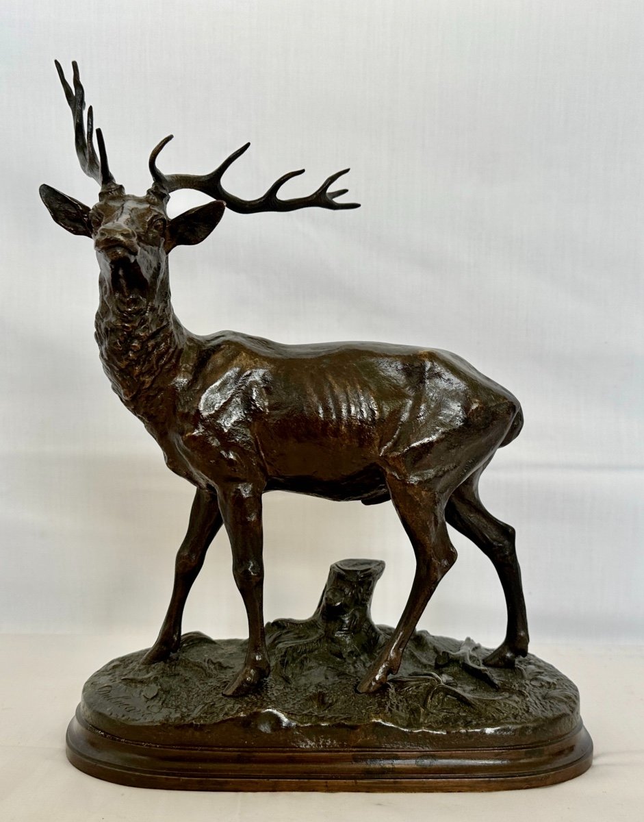 Beautiful Bronze "deer With 12 Horns" Signed By Alfred Dubucand Nineteenth Century Patina Dark Medal