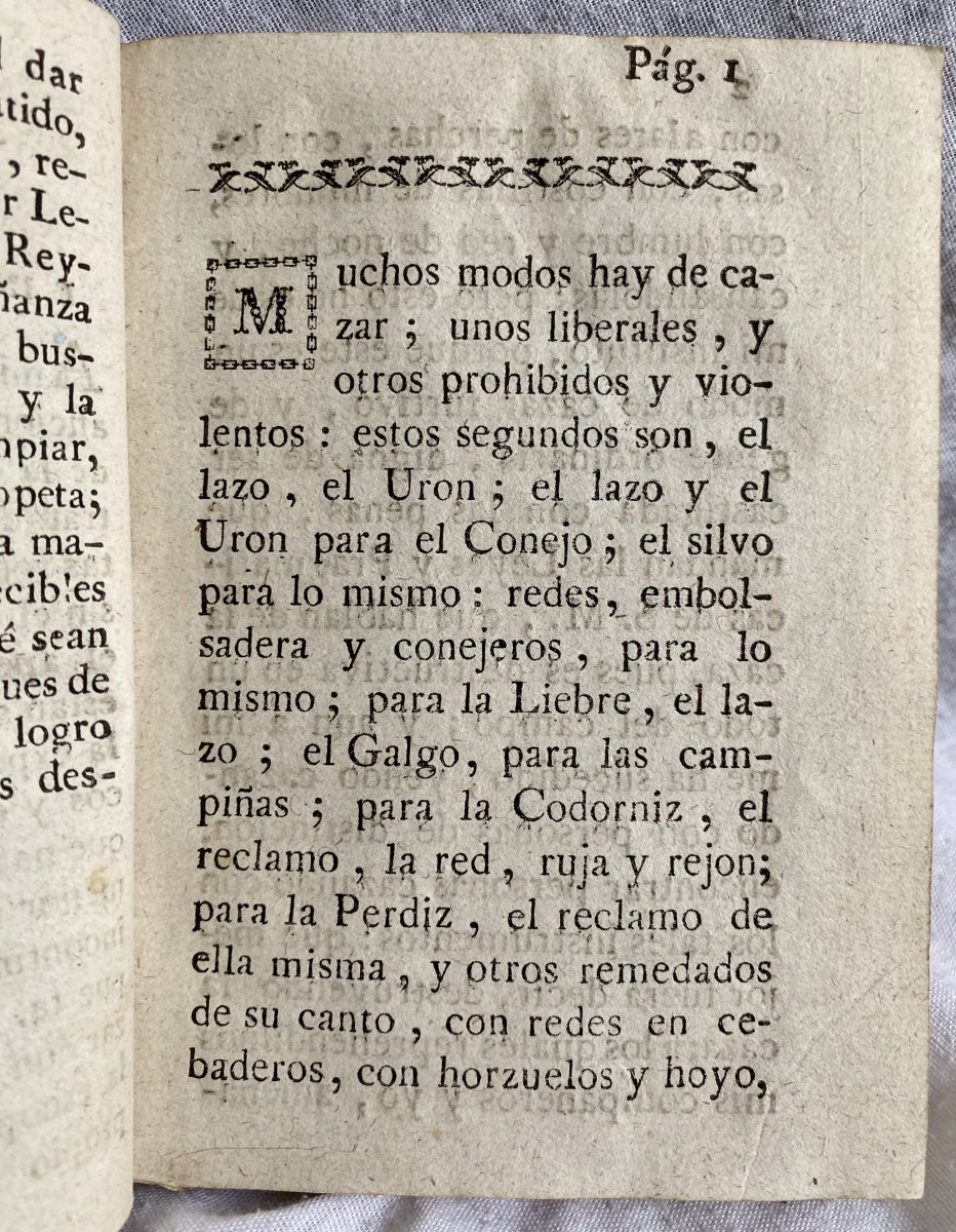 Arte De Cazar O Cazador Instruido Manuel De Arellano 1807 Rare Livre De Chasse Espagnol-photo-4