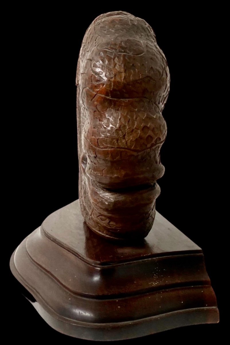 Très Grand Okimono Du Japon époque Meiji En Bois Sculpté Et Verre à Décor De Carpe Koï-photo-2