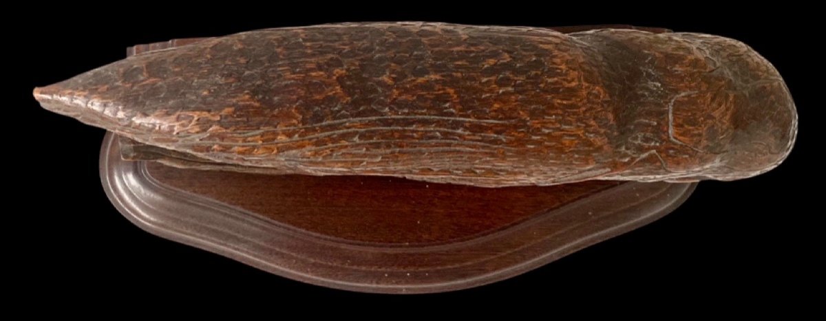 Très Grand Okimono Du Japon époque Meiji En Bois Sculpté Et Verre à Décor De Carpe Koï-photo-7