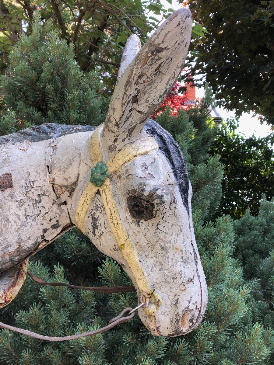 Donkey With Tilting Head By Gustave Bayol (1859-1931)-photo-4