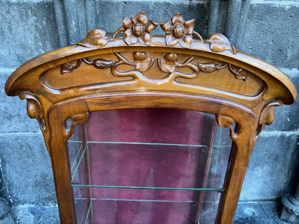 Vitrine Art Nouveau-photo-3