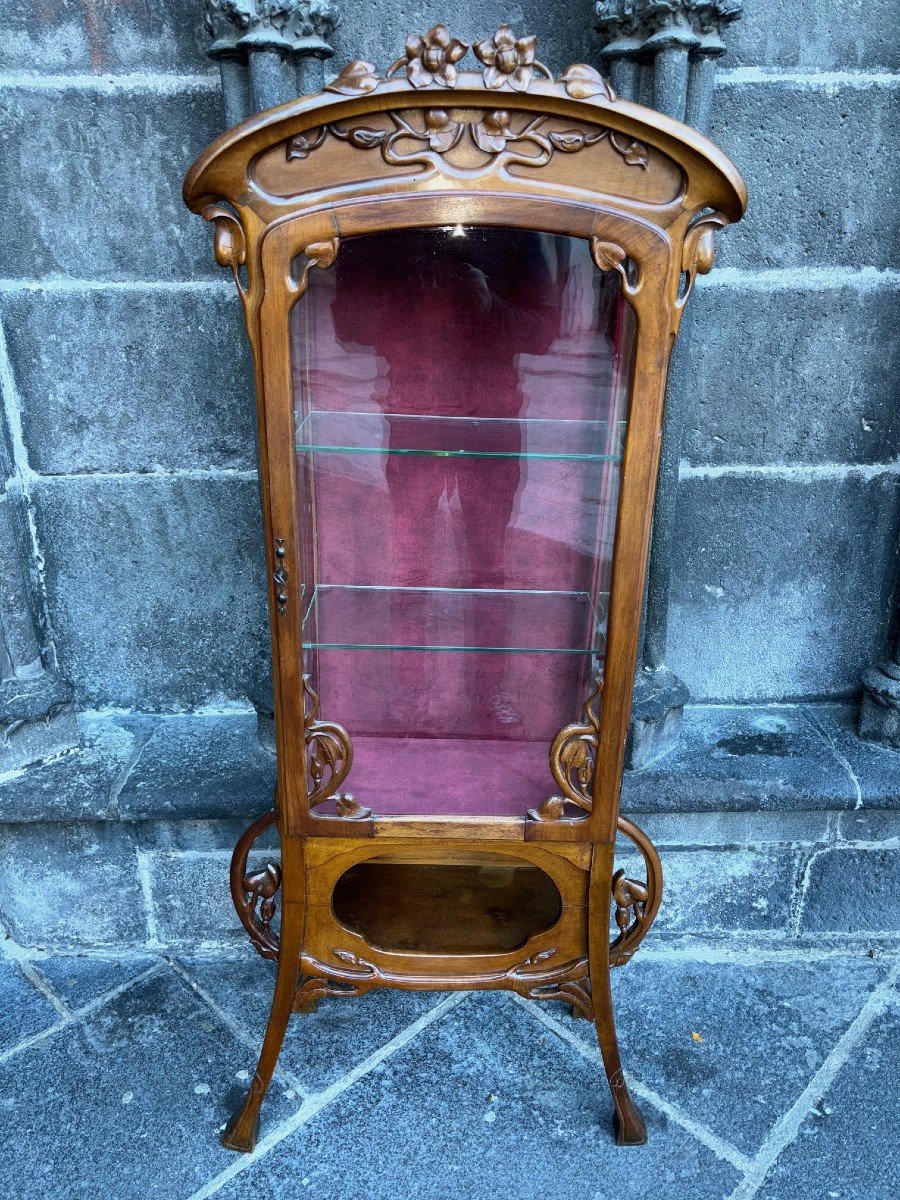 Vitrine Art Nouveau