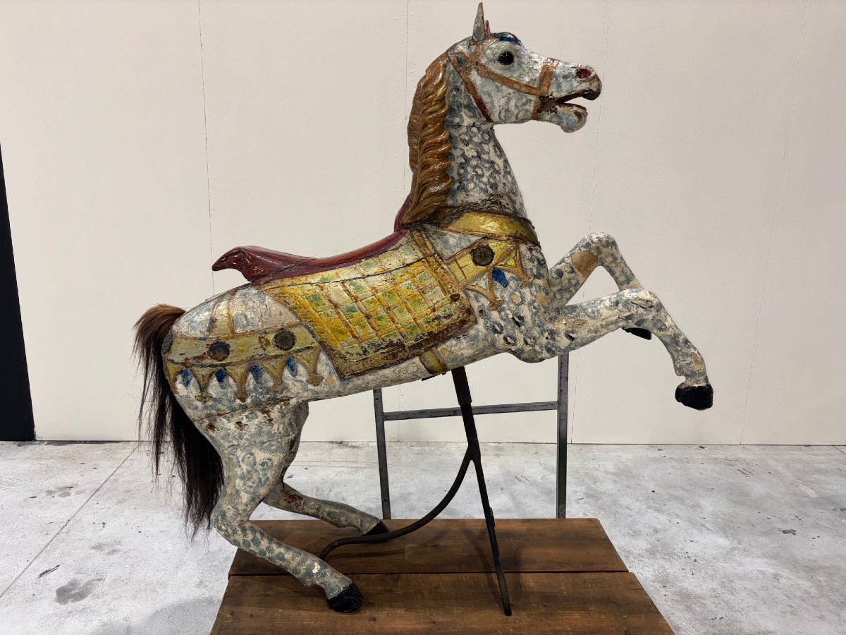 Large German Riding Horse -photo-3