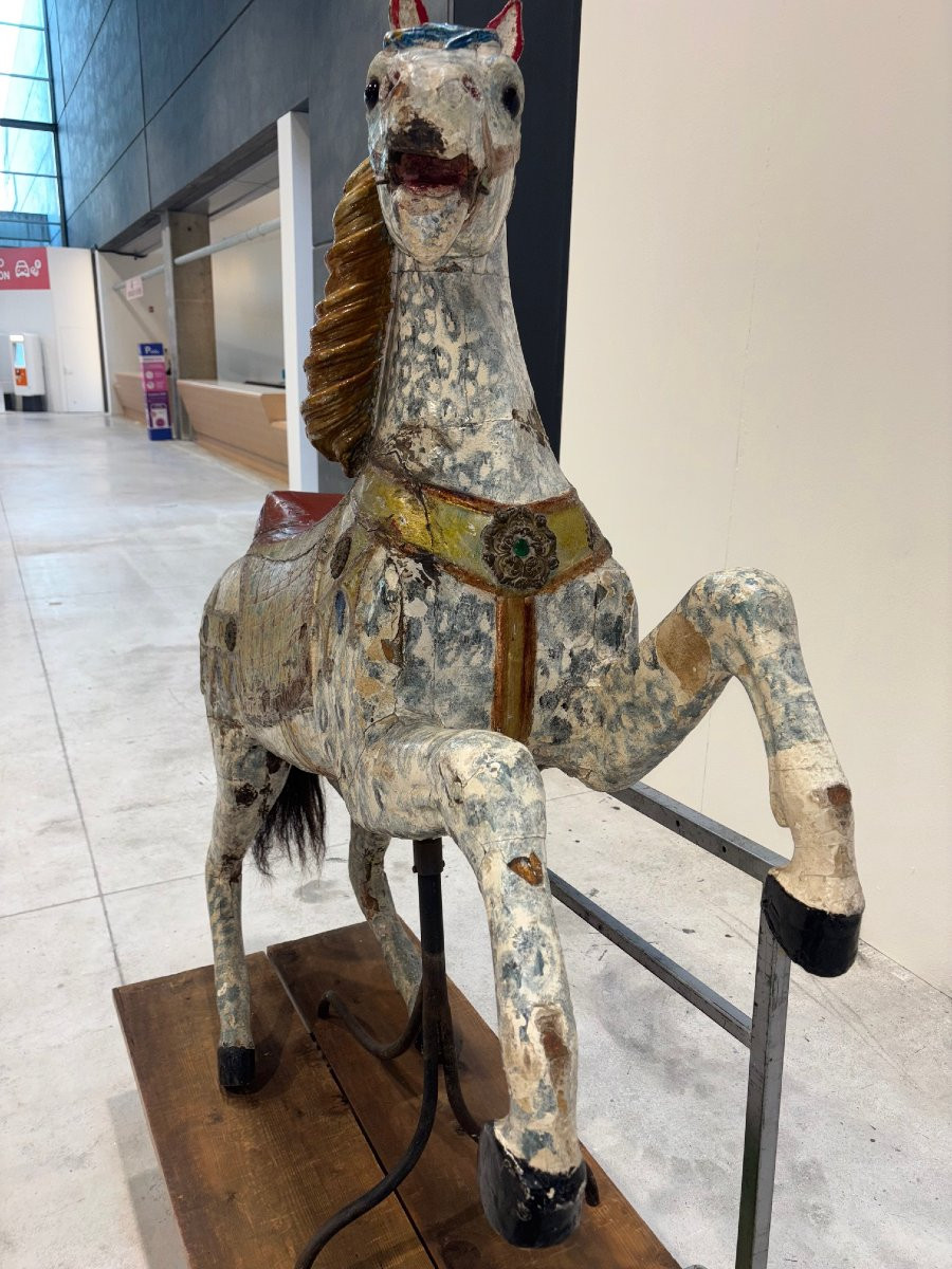 Large German Riding Horse -photo-4