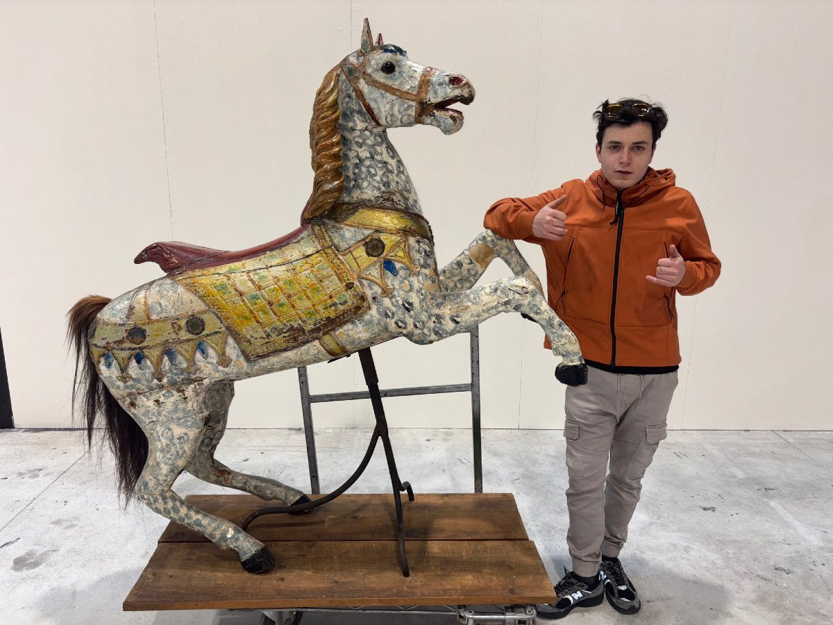 Large German Riding Horse -photo-5