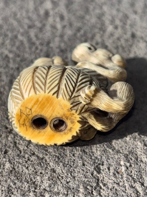 Netsuke En Ivoire représentant une paire de singes Assis-photo-6
