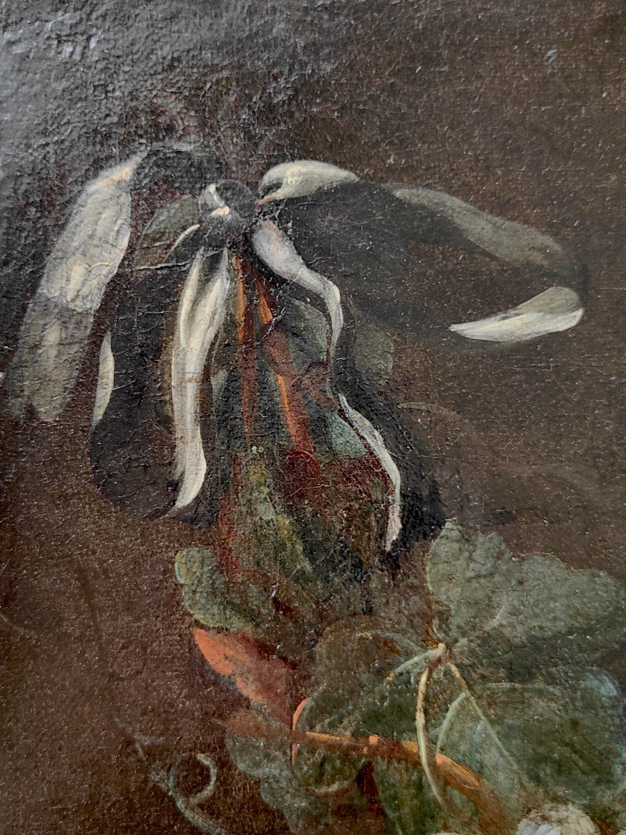 Nature morte  Guirlande de Raisins XVIIIème  Huile sur toile-photo-4