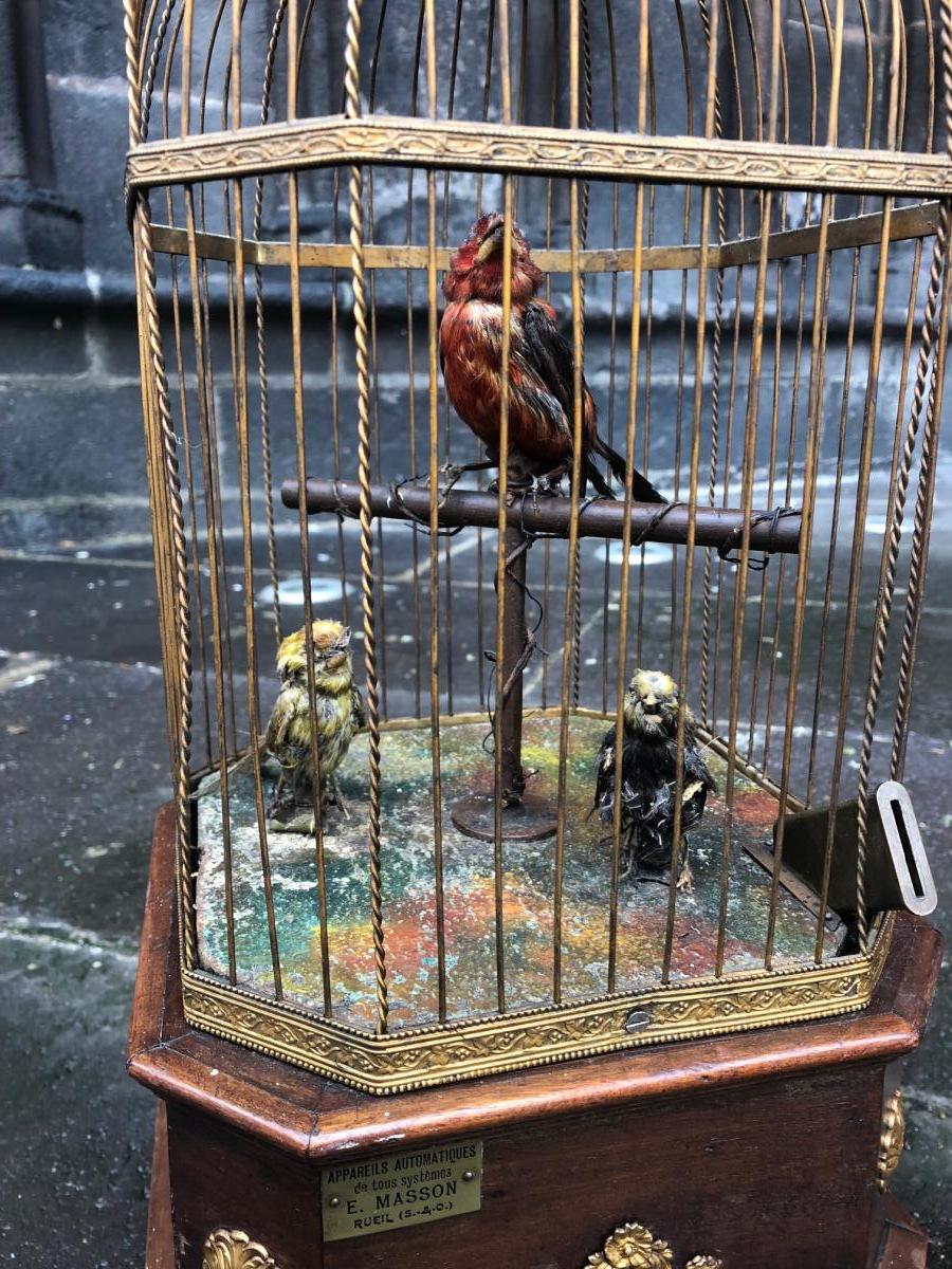 Bontems 3 Coin Bird Cage Automaton-photo-5