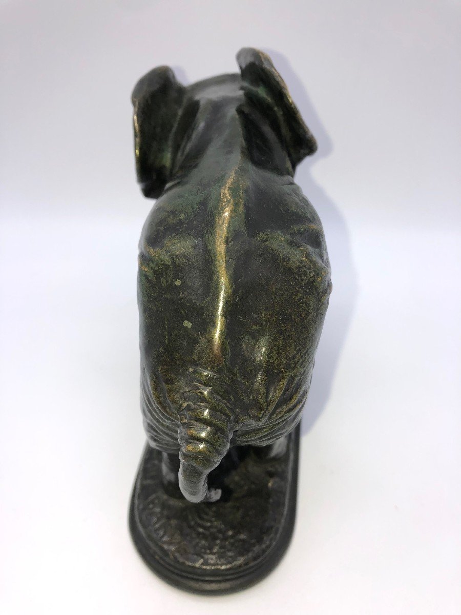 Bronze Animalier Eléphant Alfred Barye-photo-3