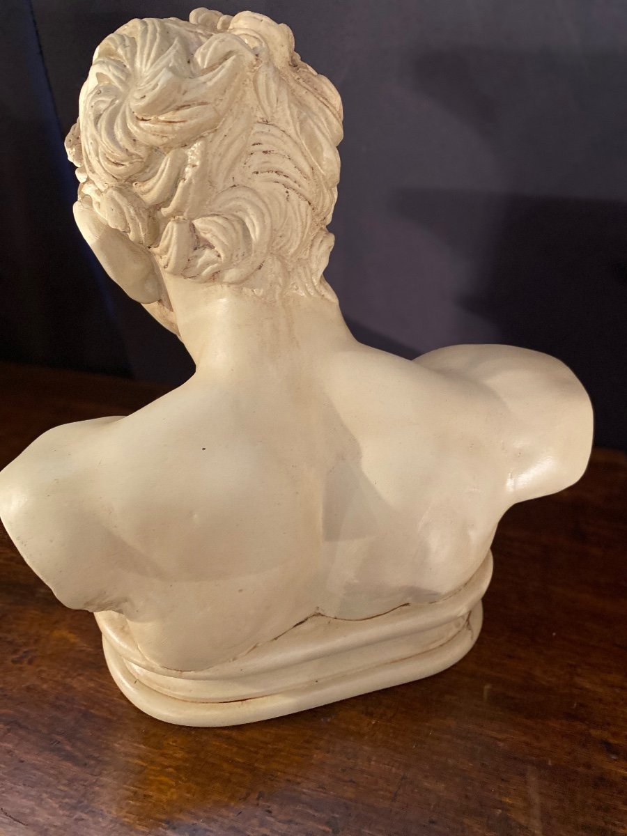 Buste Faune De Vienne 19e Plâtre cachet du Louvre -photo-1